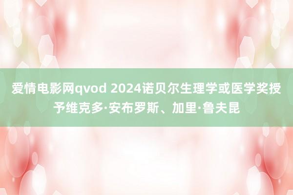 爱情电影网qvod 2024诺贝尔生理学或医学奖授予维克多·安布罗斯、加里·鲁夫昆