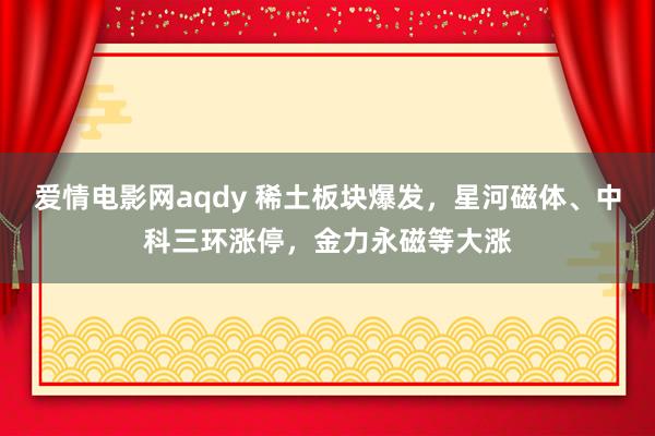 爱情电影网aqdy 稀土板块爆发，星河磁体、中科三环涨停，金力永磁等大涨