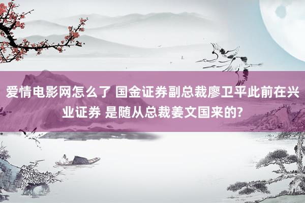 爱情电影网怎么了 国金证券副总裁廖卫平此前在兴业证券 是随从总裁姜文国来的?