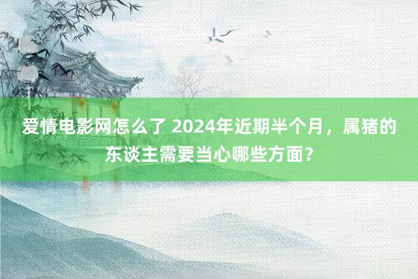 爱情电影网怎么了 2024年近期半个月，属猪的东谈主需要当心哪些方面？
