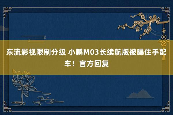 东流影视限制分级 小鹏M03长续航版被曝住手配车！官方回复