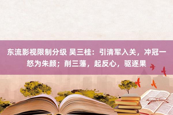 东流影视限制分级 吴三桂：引清军入关，冲冠一怒为朱颜；削三藩，起反心，驱逐果