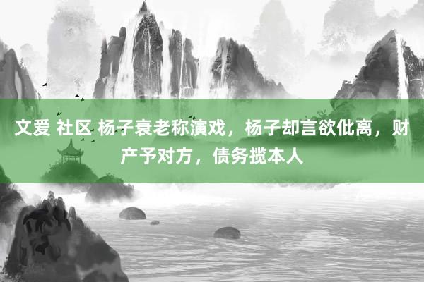 文爱 社区 杨子衰老称演戏，杨子却言欲仳离，财产予对方，债务揽本人