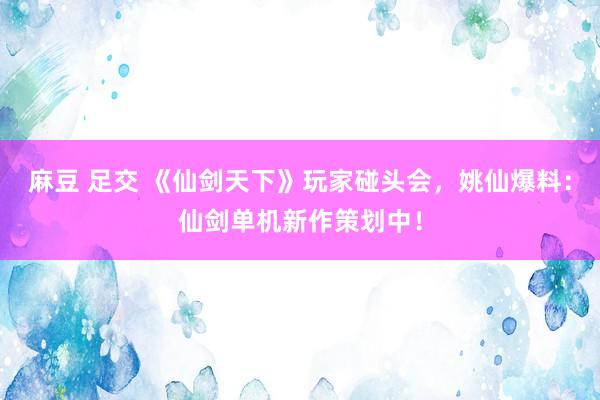 麻豆 足交 《仙剑天下》玩家碰头会，姚仙爆料：仙剑单机新作策划中！