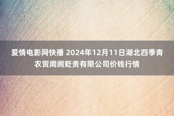 爱情电影网快播 2024年12月11日湖北四季青农贸阛阓贬责有限公司价钱行情