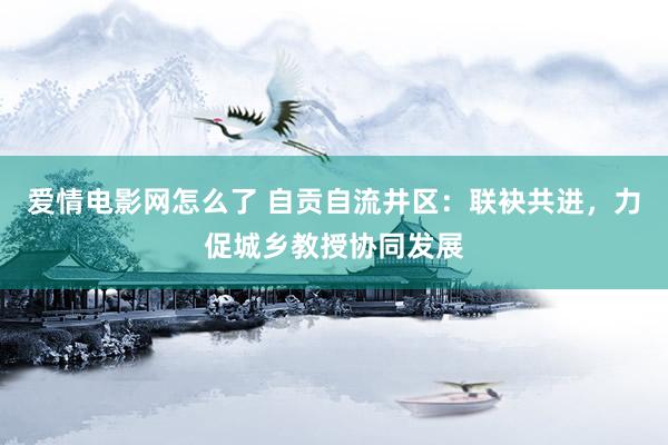 爱情电影网怎么了 自贡自流井区：联袂共进，力促城乡教授协同发展