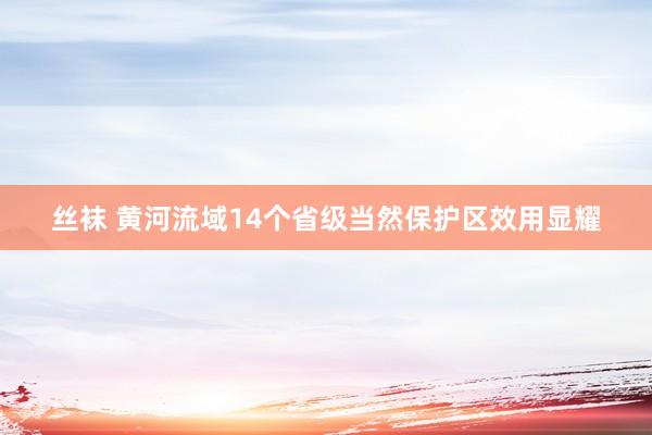 丝袜 黄河流域14个省级当然保护区效用显耀