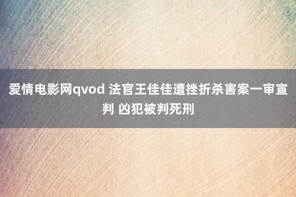 爱情电影网qvod 法官王佳佳遭挫折杀害案一审宣判 凶犯被判死刑