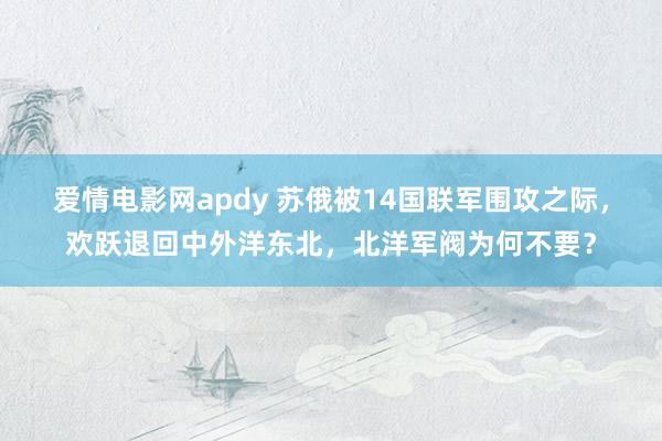 爱情电影网apdy 苏俄被14国联军围攻之际，欢跃退回中外洋东北，北洋军阀为何不要？