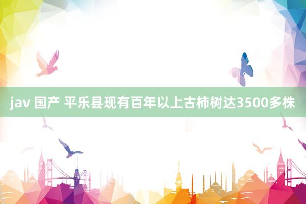 jav 国产 平乐县现有百年以上古柿树达3500多株
