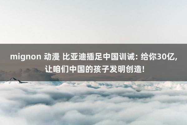 mignon 动漫 比亚迪插足中国训诫: 给你30亿， 让咱们中国的孩子发明创造!