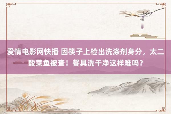 爱情电影网快播 因筷子上检出洗涤剂身分，太二酸菜鱼被查！餐具洗干净这样难吗？