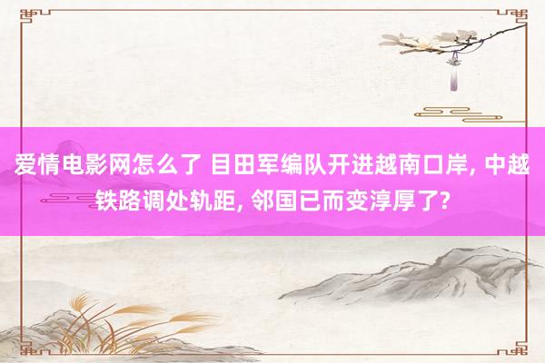 爱情电影网怎么了 目田军编队开进越南口岸， 中越铁路调处轨距， 邻国已而变淳厚了?
