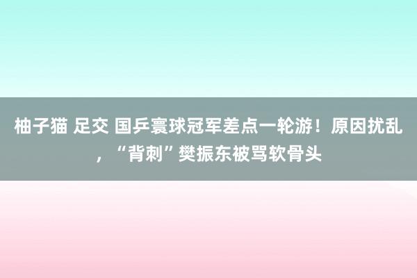 柚子猫 足交 国乒寰球冠军差点一轮游！原因扰乱，“背刺”樊振东被骂软骨头