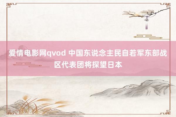爱情电影网qvod 中国东说念主民自若军东部战区代表团将探望日本