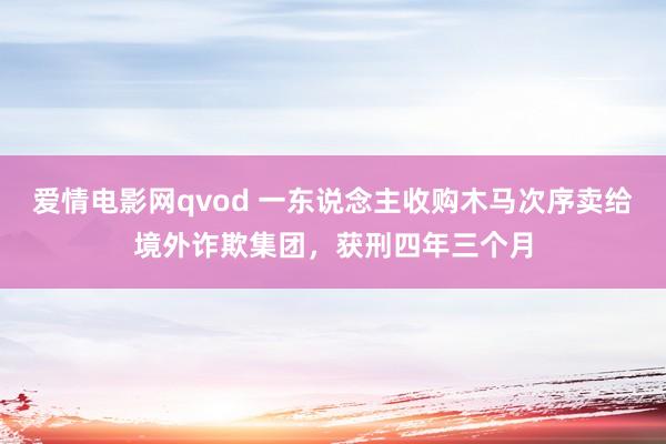 爱情电影网qvod 一东说念主收购木马次序卖给境外诈欺集团，获刑四年三个月
