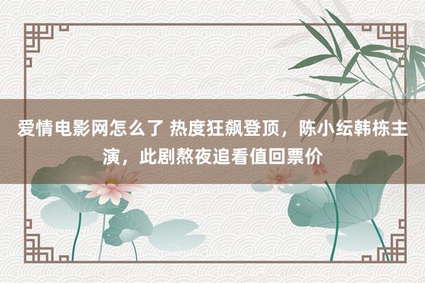 爱情电影网怎么了 热度狂飙登顶，陈小纭韩栋主演，此剧熬夜追看值回票价