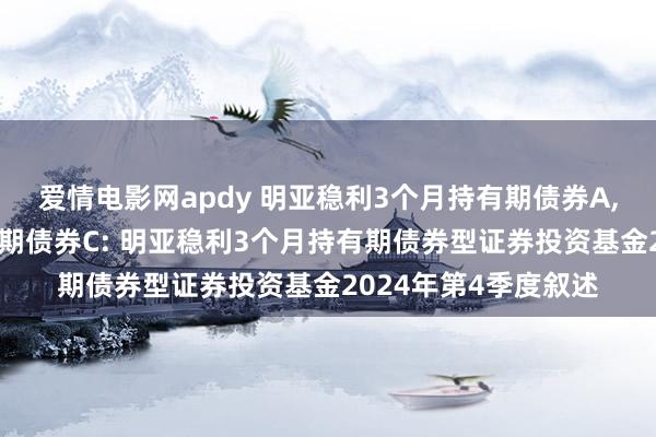 爱情电影网apdy 明亚稳利3个月持有期债券A,明亚稳利3个月持有期债券C: 明亚稳利3个月持有期债券型证券投资基金2024年第4季度叙述