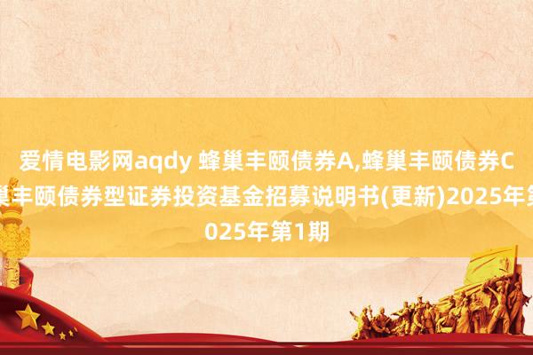 爱情电影网aqdy 蜂巢丰颐债券A,蜂巢丰颐债券C: 蜂巢丰颐债券型证券投资基金招募说明书(更新)2025年第1期