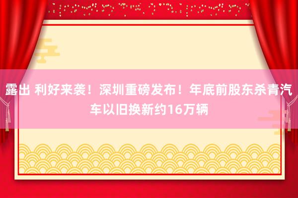 露出 利好来袭！深圳重磅发布！年底前股东杀青汽车以旧换新约16万辆