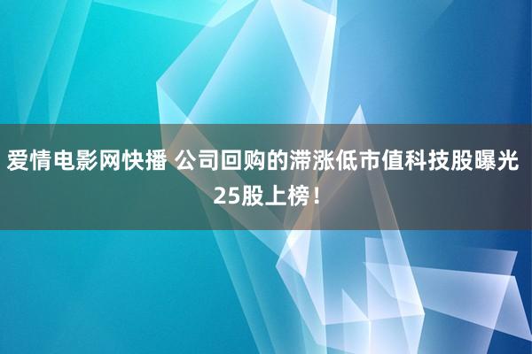爱情电影网快播 公司回购的滞涨低市值科技股曝光 25股上榜！