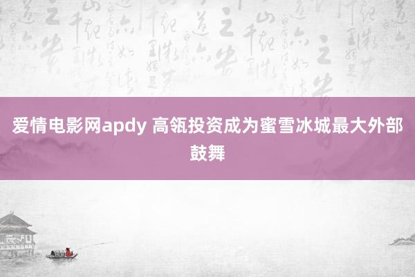 爱情电影网apdy 高瓴投资成为蜜雪冰城最大外部鼓舞