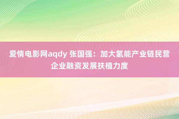 爱情电影网aqdy 张国强：加大氢能产业链民营企业融资发展扶植力度