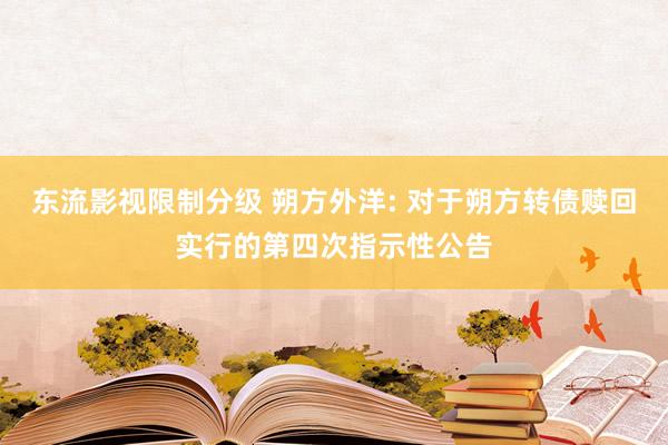 东流影视限制分级 朔方外洋: 对于朔方转债赎回实行的第四次指示性公告