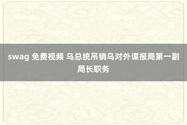 swag 免费视频 乌总统吊销乌对外谍报局第一副局长职务