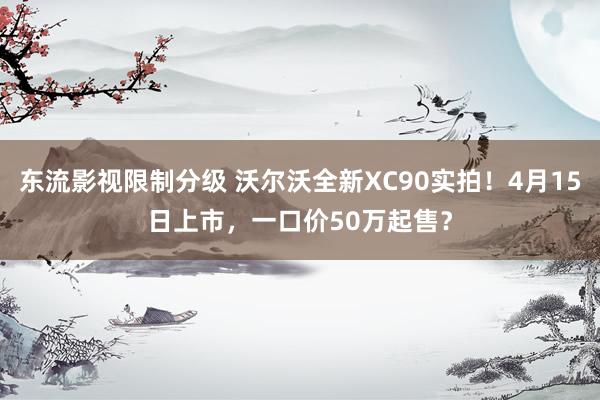 东流影视限制分级 沃尔沃全新XC90实拍！4月15日上市，一口价50万起售？