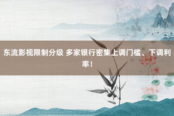 东流影视限制分级 多家银行密集上调门槛、下调利率！