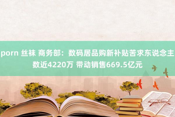 porn 丝袜 商务部：数码居品购新补贴苦求东说念主数近4220万 带动销售669.5亿元