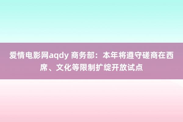 爱情电影网aqdy 商务部：本年将遵守磋商在西席、文化等限制扩绽开放试点