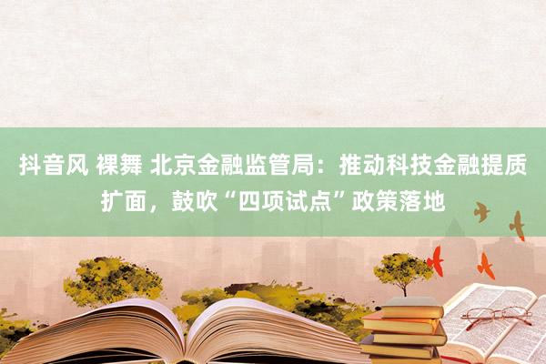 抖音风 裸舞 北京金融监管局：推动科技金融提质扩面，鼓吹“四项试点”政策落地
