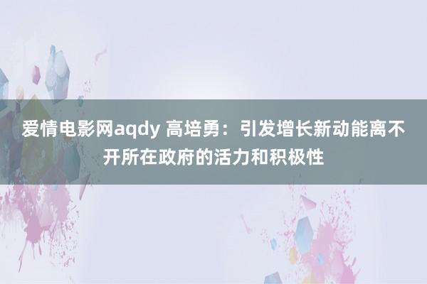 爱情电影网aqdy 高培勇：引发增长新动能离不开所在政府的活力和积极性