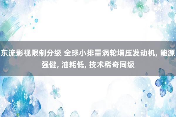 东流影视限制分级 全球小排量涡轮增压发动机， 能源强健， 油耗低， 技术稀奇同级