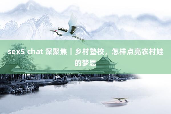 sex5 chat 深聚焦｜乡村塾校，怎样点亮农村娃的梦思