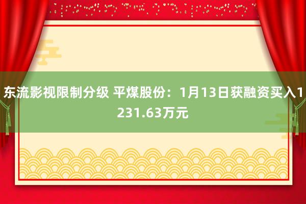 东流影视限制分级 平煤股份：1月13日获融资买入1231.63万元