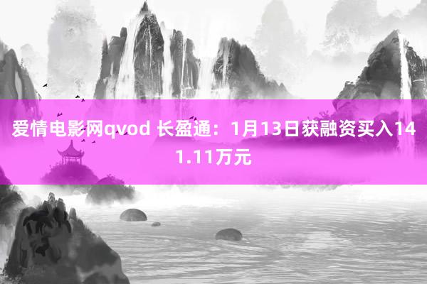 爱情电影网qvod 长盈通：1月13日获融资买入141.11万元
