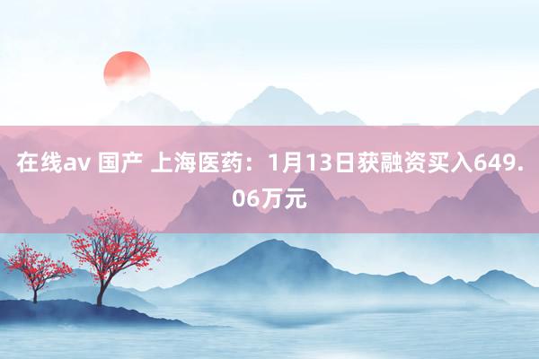 在线av 国产 上海医药：1月13日获融资买入649.06万元
