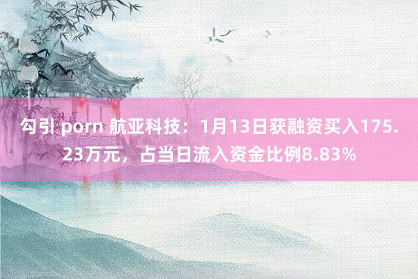 勾引 porn 航亚科技：1月13日获融资买入175.23万元，占当日流入资金比例8.83%