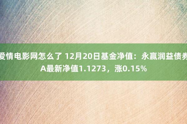 爱情电影网怎么了 12月20日基金净值：永赢润益债券A最新净值1.1273，涨0.15%