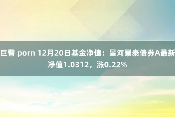 巨臀 porn 12月20日基金净值：星河景泰债券A最新净值1.0312，涨0.22%