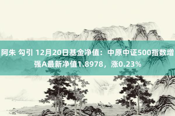 阿朱 勾引 12月20日基金净值：中原中证500指数增强A最新净值1.8978，涨0.23%