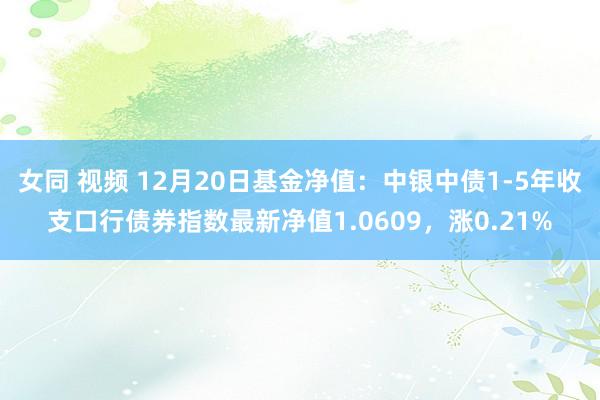 女同 视频 12月20日基金净值：中银中债1-5年收支口行债券指数最新净值1.0609，涨0.21%