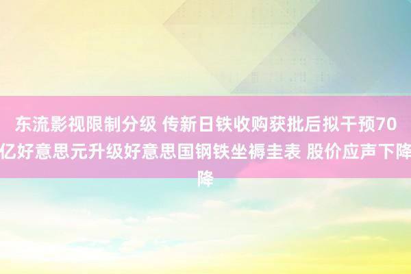 东流影视限制分级 传新日铁收购获批后拟干预70亿好意思元升级好意思国钢铁坐褥圭表 股价应声下降