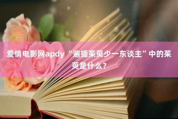 爱情电影网apdy “遍插茱萸少一东谈主”中的茱萸是什么？