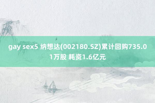 gay sex5 纳想达(002180.SZ)累计回购735.01万股 耗资1.6亿元