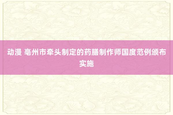 动漫 亳州市牵头制定的药膳制作师国度范例颁布实施