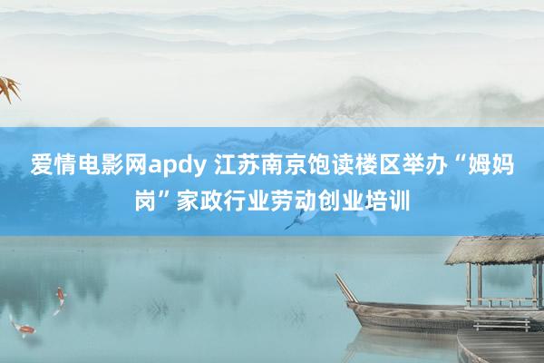 爱情电影网apdy 江苏南京饱读楼区举办“姆妈岗”家政行业劳动创业培训